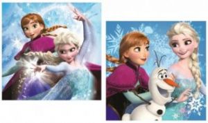 Poszewka Frozen Kraina Lodu 40x40.Nowość!